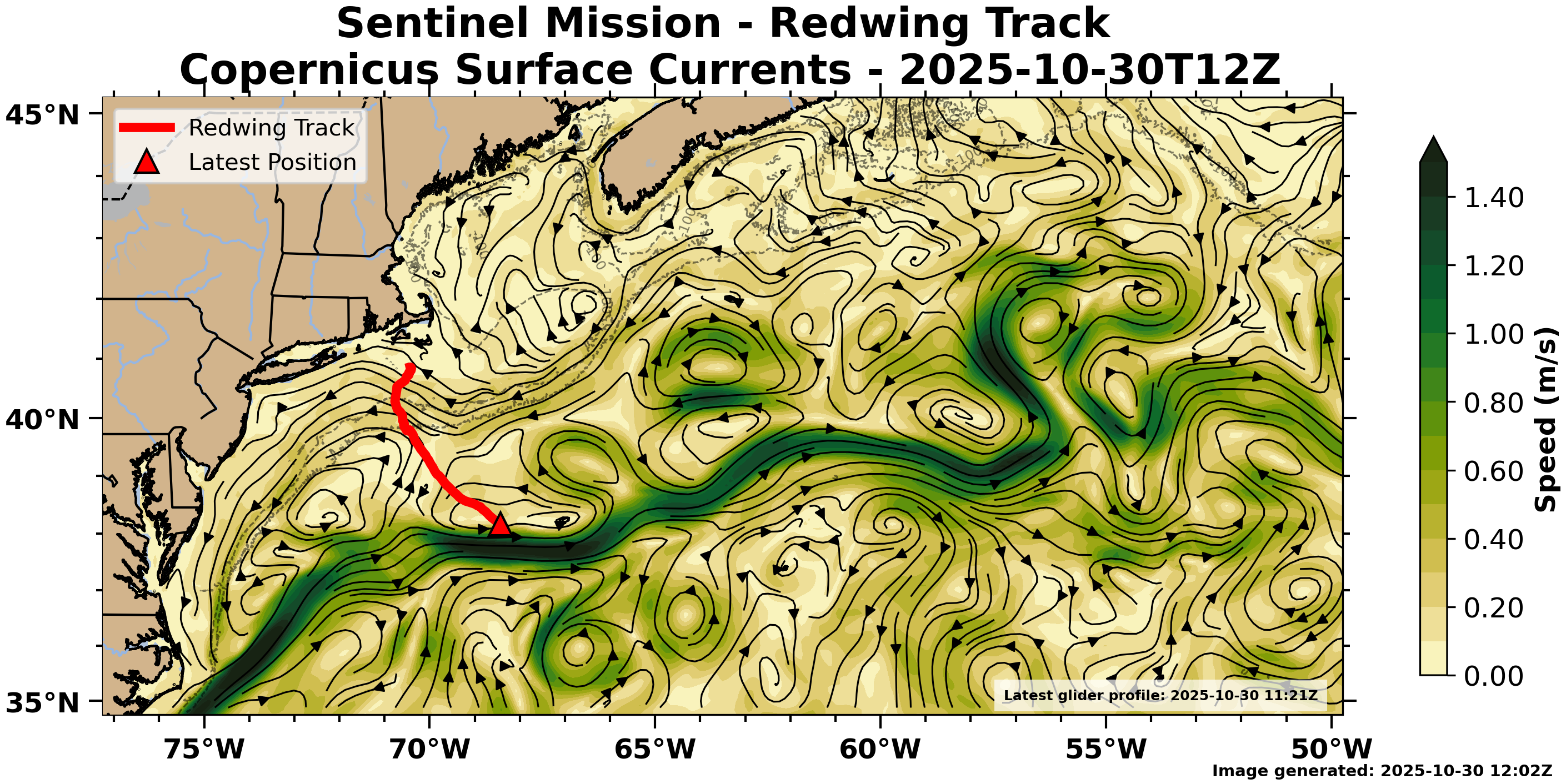 Copernicus Surface Currents image