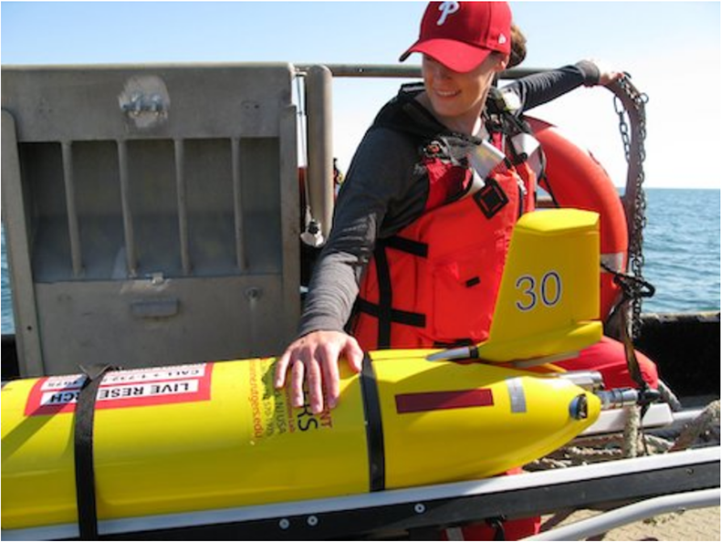 Gliding into the Future of Ocean Acidification Observing