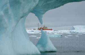 Read more about the article 30 Years of Antarctic Ecological Research