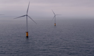 Read more about the article Could federal wind farms influence continental shelf oceanography and alter associated ecological processes? A literature review.