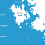 Antarctic Long-Term Ecological Research site turns 30