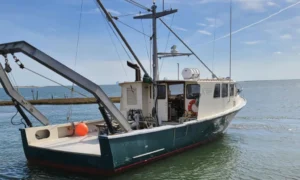 Read more about the article The Return of R/V Arabella