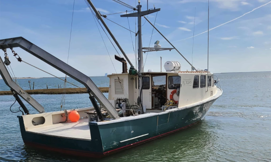 You are currently viewing The Return of R/V Arabella