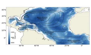 Read more about the article RUCOOL Researchers Find Decades of Warming and Salinity Changes in the Caribbean Sea