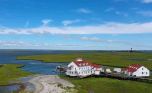 Read more about the article A Film Professor and His Students Shoot a Documentary on the University’s Marine Field Station