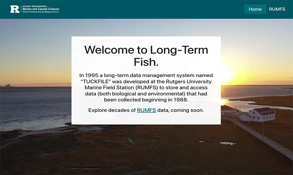 Long Term Fish