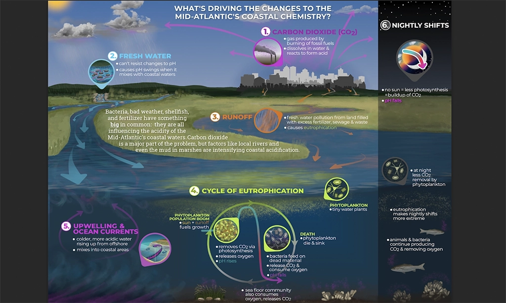 Ocean Acidification