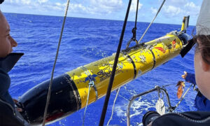 Read more about the article Redwing recovery: a story of global collaboration and coordination in ocean observing