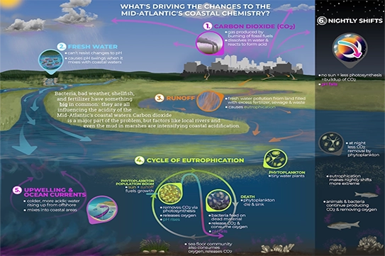 Earth System