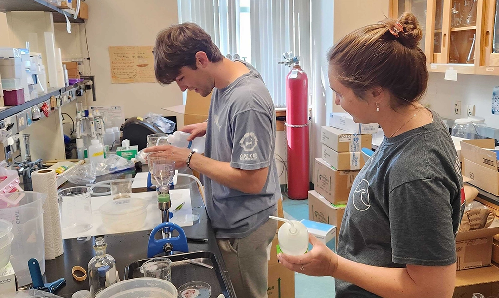 Read more about the article Small Organisms, Big Impact: Adam Kos, SEBS’26, Explores the World of Microscopic Marine Animals in the Lab and at Sea